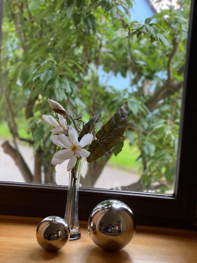 שפאלט Ferienwohnung Hopfengarten מראה חיצוני תמונה